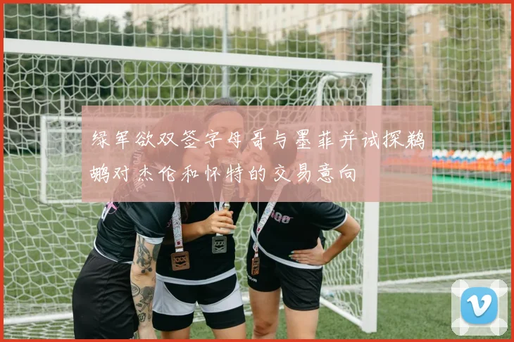 绿军欲双签字母哥与墨菲并试探鹈鹕对杰伦和怀特的交易意向